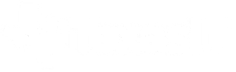 Texas IT Solutions